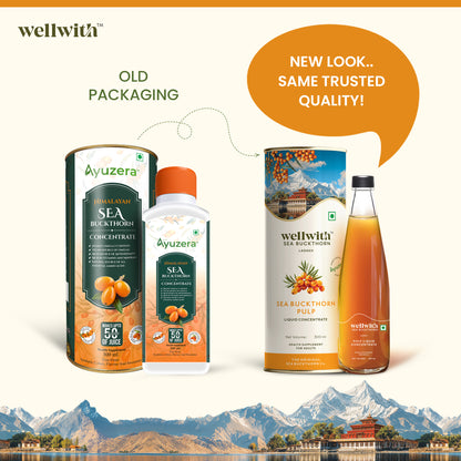 Sea Buckthorn Pulp