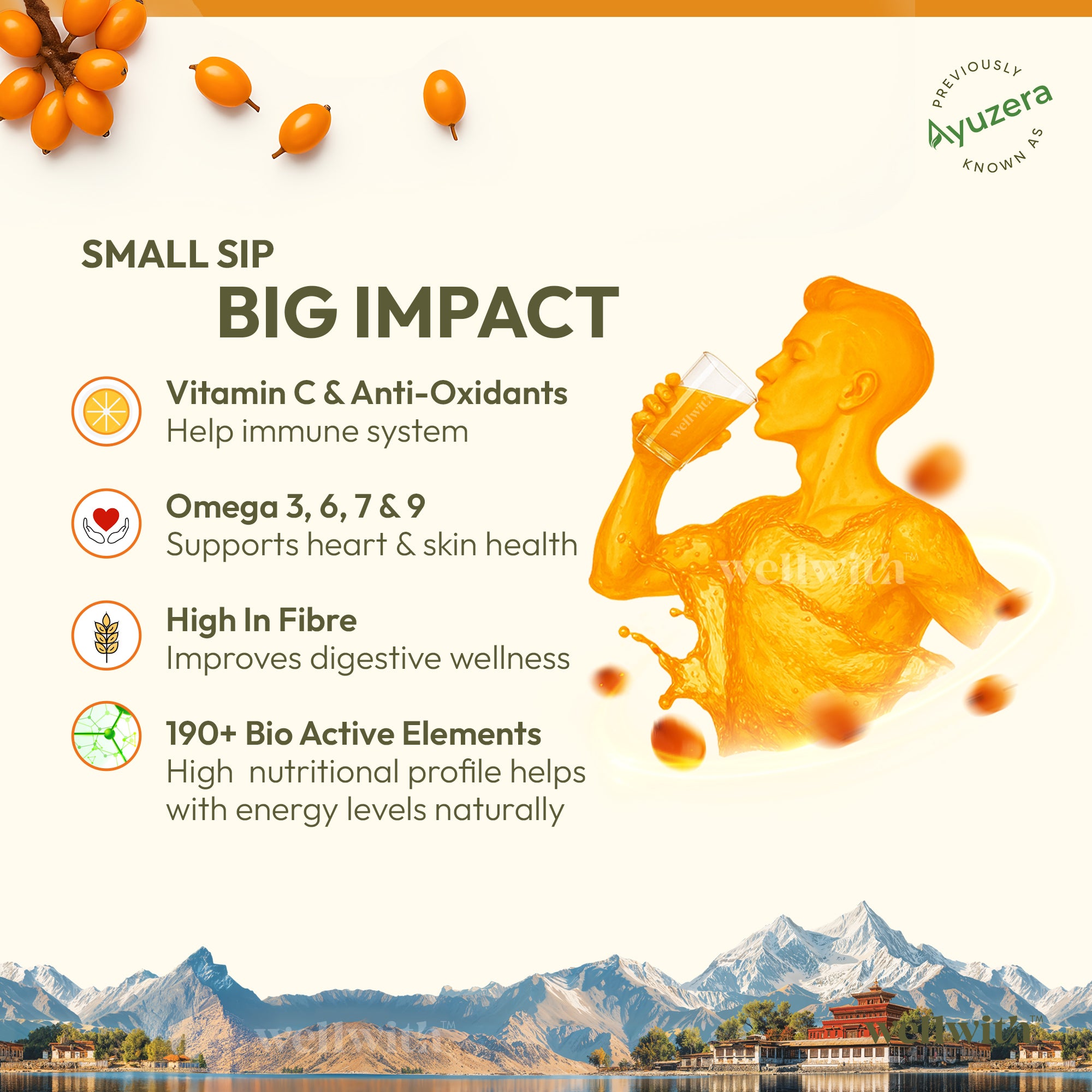 Sea Buckthorn Pulp