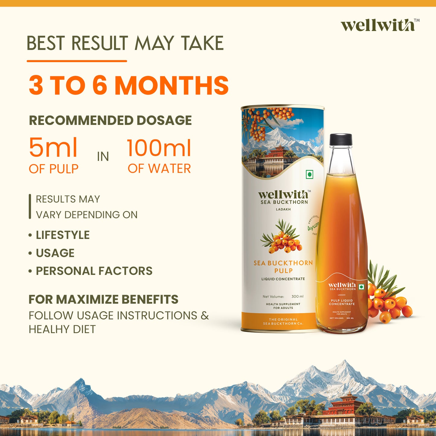 Sea Buckthorn Pulp